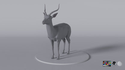 Antilope 