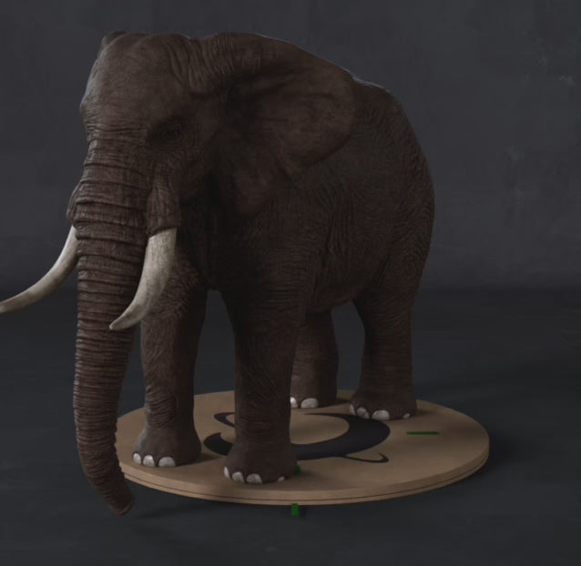 Carica il video: Elefante africano 